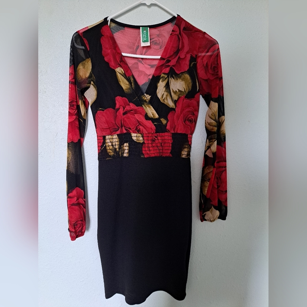 Red Roses Floral Mesh Dress